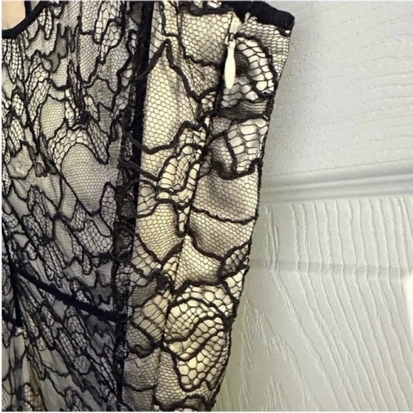 Size 10 Zac Posen Black and Cream Silk Dress with Lace Overlay - Mermaid Style - Picture 5 of 5